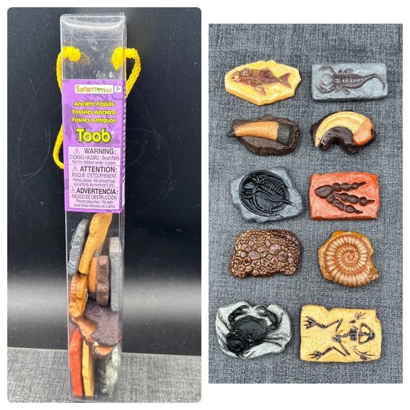Dinosaur Fossils Safari Ltd Ancient TOOB w/ 10 Educational Figurines for Kids - Picture 1 of 12